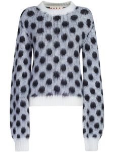 Marni pull à pois en intarsia - Blanc