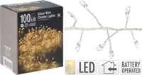 ZILVERDRAAD 100LED WW CLUSTER