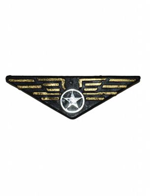 Piloten Badge