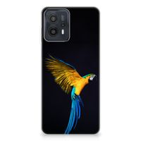 Motorola Moto G23 | G13 TPU Hoesje Papegaai