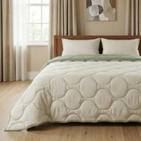 1+1 Gratis Wasbaar Lazy Dekbed Zonder Overtrek - Zonder Overtrek - Crème Groen - Dekbed-Discounter.nl