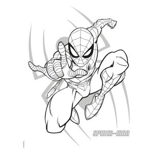 Deltas Marvel spider-man color kleurblok