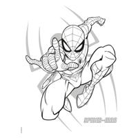 Deltas Marvel spider-man color kleurblok