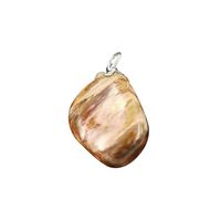 Edelsteen Hanger Versteend Hout