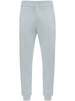 Alexander McQueen pantalon de jogging en coton biologique - Bleu - thumbnail