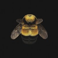 Wandkraft Wanddeco Wonderful life - thumbnail