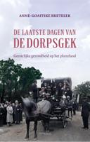 De laatste dagen van de dorpsgek (Paperback)