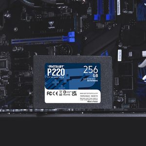 Patriot P220 256 GB ssd SATA III 6 Gb/s