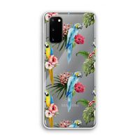 Kleurrijke papegaaien: Samsung Galaxy S20 Transparant Hoesje Kleurrijke papegaaien: Samsung Galaxy S20 Transparant Hoesje