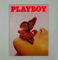 Playboy Wall Art - Butterfly Cover (LED Neon) - Small