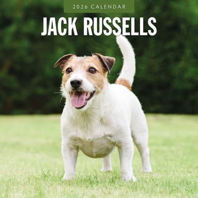 Jack Russell Terrier Kalender 2026