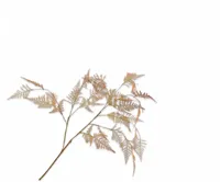 Silk-ka kunsttak asparagus 113cm oranje