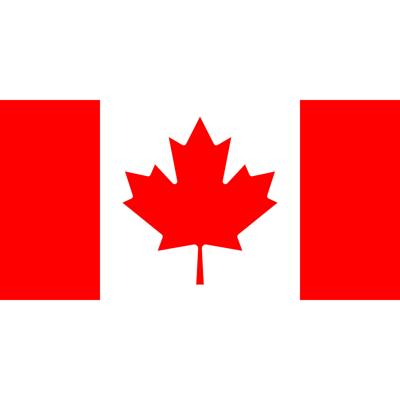 Landen thema vlag Canada 90 x 150 cm feestversiering