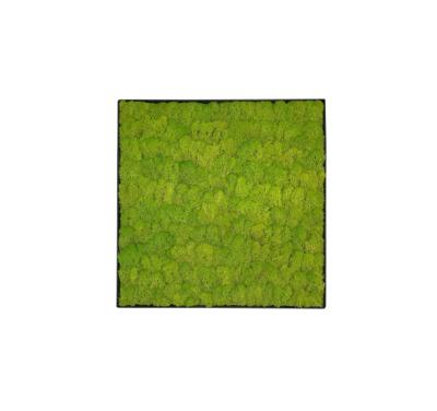 Mosschilderij Linn Metal 50x50cm.