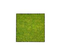 Mosschilderij Linn Metal 50x50cm.