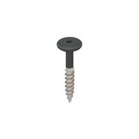 Torx schroef RVS 32 mm 100st Monumentengroen - Keralit (2890)