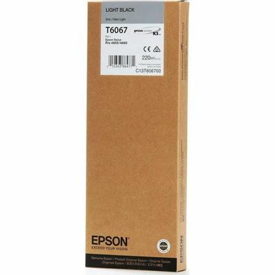 Originele inktcartridge Epson C13T606700 Zwart