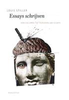 Essays schrijven (Paperback)