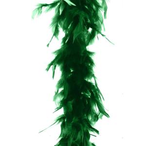 Carnaval verkleed veren Boa - kleur groen - 2 meter - Verkleedkleding accessoire