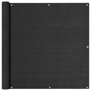 VidaXL Balkonscherm 120x600 cm hdpe antracietkleurig