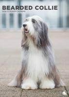Bearded Collie A3 Kalender 2026