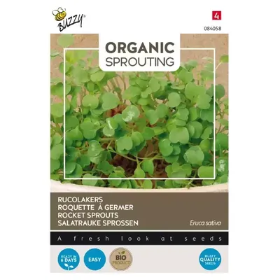 Bio Knip & Eet, Sprouting Rucolakers
