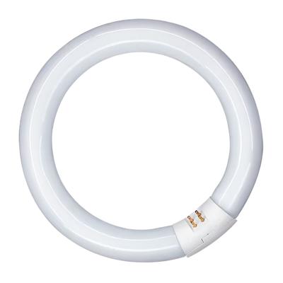 Fluorescerende buis Patron 20 W G10Q (6400 K)