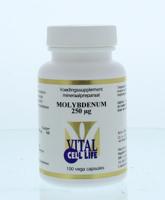 Vital Cell Life Molybdenum 250 mcg
