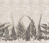 Decoprint Herbarium Fotobehang met varentakken - HED27292
