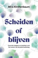 Scheiden of blijven (Paperback) Scheiden of blijven (Paperback)