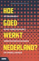 Hoe goed werkt Nederland (Paperback)