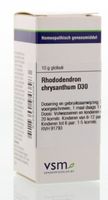 Rhododendron chrysanthum D30 - thumbnail