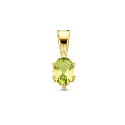 14K Geelgouden Hanger met Augustus Geboortesteen - 13x4,5mm