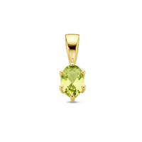 14K Geelgouden Hanger met Augustus Geboortesteen - 13x4,5mm