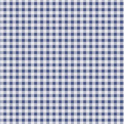 Bellatio Design Tafelzeil - boerenruit blauw - PVC - 140 x 300 cm - tuintafelkleed - zeiltje