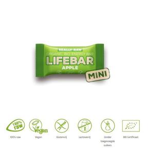 Lifefood Mini lifebar energiereep appel raw & bio (25 gr)