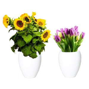 Bloemen vaas - 2x stuks - wit - D25 x H28 cm - keramiek - bloemenvaas - bloempot