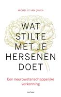 Wat stilte met je hersenen doet (Paperback)