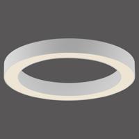 Paul Neuhaus Strakke led plafondlampPure Lines Round Ø 35cm - wit - 6310-16