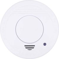 Smartwares RM250 Rookmelder