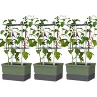 Gusta Garden CHARLY CHILI 3er-Set dunkelgrün / W07077 Plantcontainer