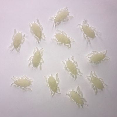 Kakkerlakken glow in the dark 24x stuks
