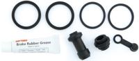 DAYTONA reparatie kit remklauw