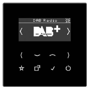 DAB LS SW  - Radio receiver DAB LS SW