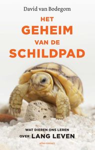 Het geheim van de schildpad - David van Bodegom - ebook