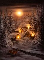 LED CANVAS 30X40CM RENDIEREN VOLLE MAAN 5LED / 2AA - Annas collection