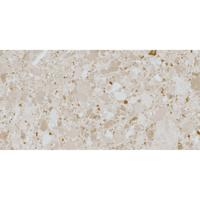 Vloertegel Pamesa Pietra Di Gre Crema 30x60 cm Gerectificeerd Mat Creme Pamesa