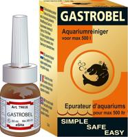 Esha gastrobel l4,5b4,5h8,3 cm - Hortus