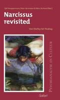 Narcissus revisited (Paperback)
