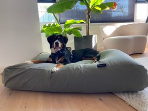 Dog's Companion® Hondenbed basalt medium
